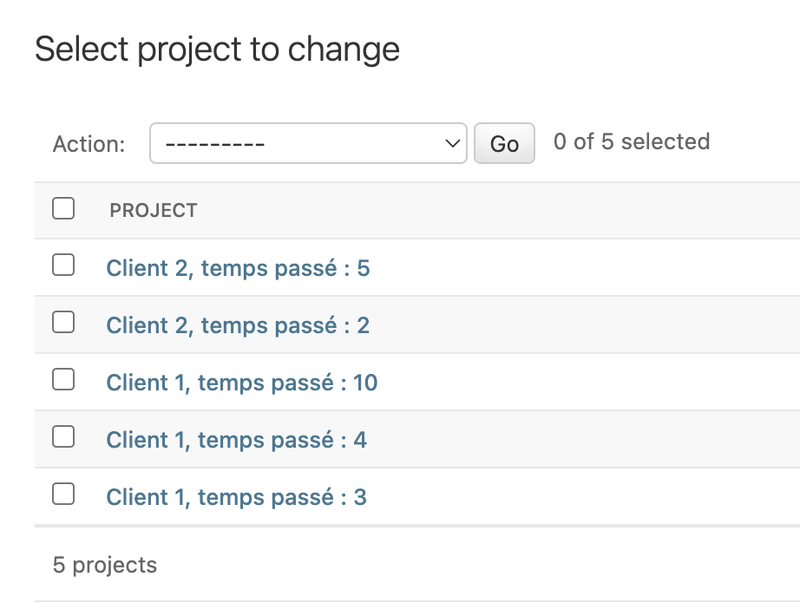 Instances du modèle projet